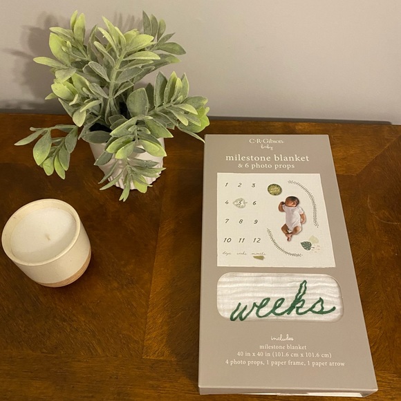 C.R Gibbons milestone blanket &6 photo props 40x40 - Picture 10 of 10